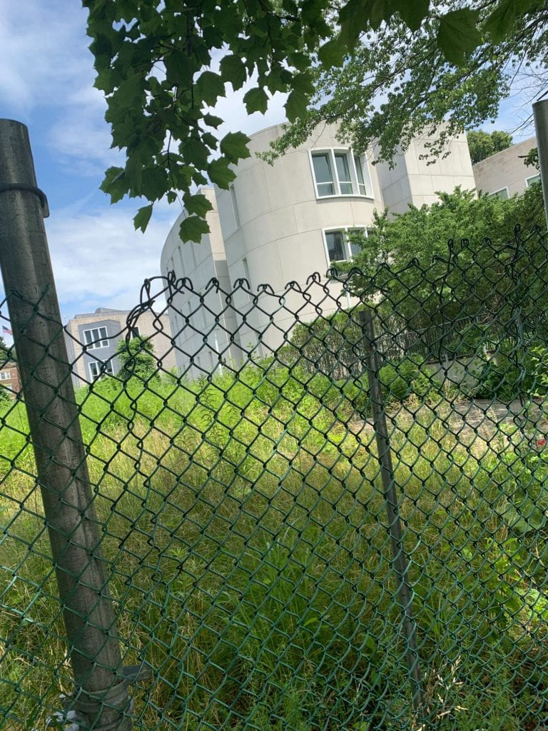 An overgrown vacant lot and corner of federal courthouse seen through chain-link fence